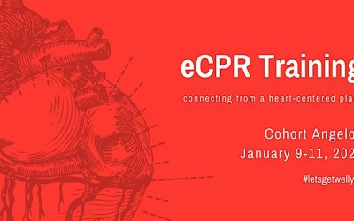 Join Our Emotional CPR (eCPR) Virtual Training Cohort This January!